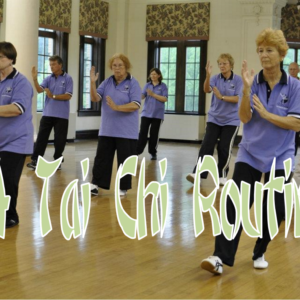 24 Yang Tai Chi